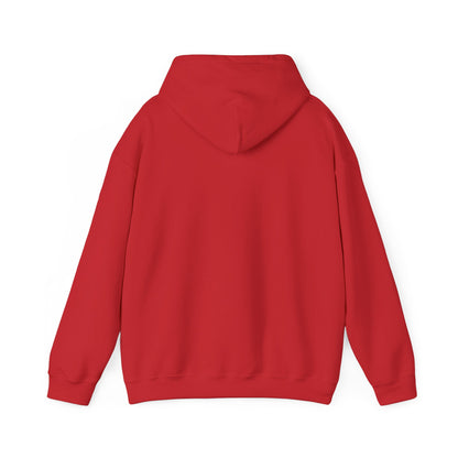 OFFICIAL BUDKID HOODIE